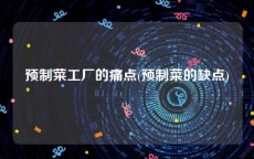 预制菜工厂的痛点(预制菜的缺点)