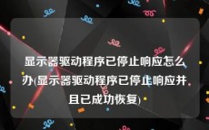 显示器驱动程序已停止响应怎么办(显示器驱动程序已停止响应并且已成功恢复)
