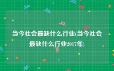 当今社会最缺什么行业(当今社会最缺什么行业2017年)