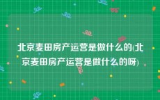 北京麦田房产运营是做什么的(北京麦田房产运营是做什么的呀)