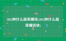2022种什么蔬菜赚钱(2022种什么蔬菜赚钱快)