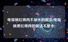 电饭锅红烧肉不加水的做法(电饭锅煮红烧肉的做法不放水)