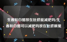 生姜和白醋放在肚脐能减肥吗(生姜和白醋可以减肥吗放在肚脐眼里)