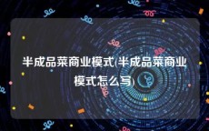 半成品菜商业模式(半成品菜商业模式怎么写)