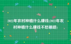 2022年农村种植什么赚钱(2022年农村种植什么赚钱不愁销路)