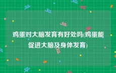 鸡蛋对大脑发育有好处吗(鸡蛋能促进大脑及身体发育)