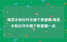 喝茶水和白开水哪个更健康(喝茶水和白开水哪个更健康一点)