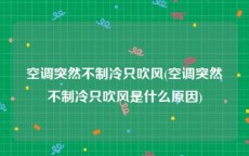 空调突然不制冷只吹风(空调突然不制冷只吹风是什么原因)