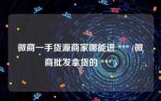 微商一手货源商家哪能进 *** (微商批发拿货的 *** )