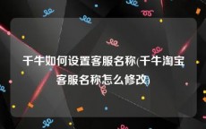 千牛如何设置客服名称(千牛淘宝客服名称怎么修改)