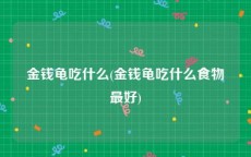 金钱龟吃什么(金钱龟吃什么食物最好)