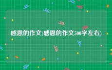 感恩的作文(感恩的作文500字左右)