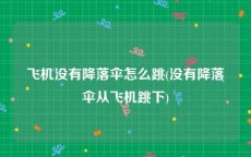 飞机没有降落伞怎么跳(没有降落伞从飞机跳下)
