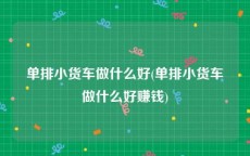 单排小货车做什么好(单排小货车做什么好赚钱)