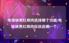 电饭锅煮红烧肉选择哪个功能(电饭锅煮红烧肉应该选哪一个)