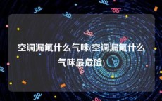 空调漏氟什么气味(空调漏氟什么气味最危险)