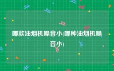 哪款油烟机噪音小(哪种油烟机噪音小)