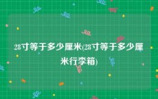 28寸等于多少厘米(28寸等于多少厘米行李箱)