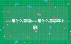 ams是什么意思(ams是什么意思车上的)