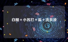 白醋＋小苏打＋盐＋洗衣液
