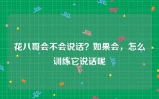 花八哥会不会说话？如果会，怎么训练它说话呢