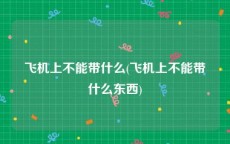 飞机上不能带什么(飞机上不能带什么东西)