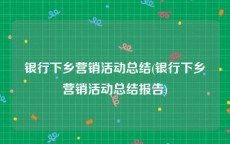 银行下乡营销活动总结(银行下乡营销活动总结报告)