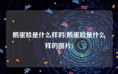 鹅蛋脸是什么样的(鹅蛋脸是什么样的图片)