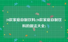 20款家庭自制饮料(20款家庭自制饮料的做法大全)