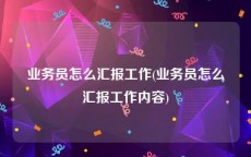 业务员怎么汇报工作(业务员怎么汇报工作内容)