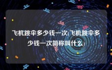 飞机跳伞多少钱一次(飞机跳伞多少钱一次简称叫什么)