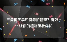 三角梅冬季如何养护管理？有效 *** 让你的植物茁壮成长