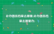 补办团员档案去哪里(补办团员档案去哪里办)