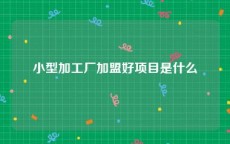 小型加工厂加盟好项目是什么