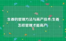 生姜的管理方法与高产技术(生姜怎样管理才能高产)