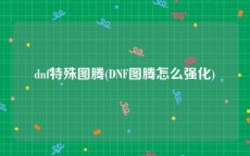 dnf特殊图腾(DNF图腾怎么强化)