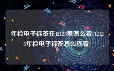 年检电子标签在12123里怎么看(12123年检电子标签怎么查看)
