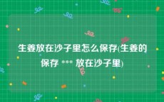 生姜放在沙子里怎么保存(生姜的保存 *** 放在沙子里)