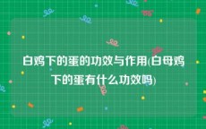 白鸡下的蛋的功效与作用(白母鸡下的蛋有什么功效吗)
