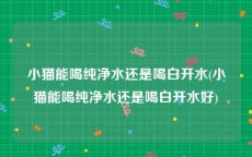 小猫能喝纯净水还是喝白开水(小猫能喝纯净水还是喝白开水好)