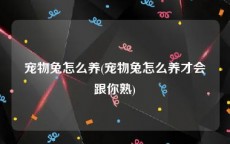 宠物兔怎么养(宠物兔怎么养才会跟你熟)