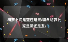 胡萝卜泥是蒸还是煮(辅食胡萝卜泥是蒸还是煮)