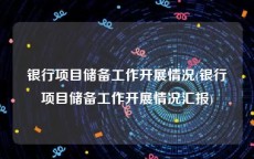 银行项目储备工作开展情况(银行项目储备工作开展情况汇报)