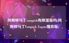 阿斯顿马丁vanquish有敞篷版吗(阿斯顿马丁Vanquish Zagato猎装版)