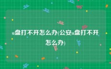 u盘打不开怎么办(公安u盘打不开怎么办)