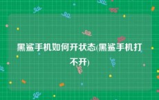 黑鲨手机如何开状态(黑鲨手机打不开)