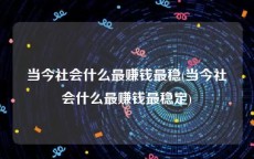 当今社会什么最赚钱最稳(当今社会什么最赚钱最稳定)