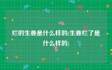 烂的生姜是什么样的(生姜烂了是什么样的)