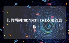 如何辨别THE NORTH FACE衣服的真假