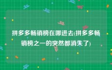 拼多多畅销榜在哪进去(拼多多畅销榜之一的突然都消失了)